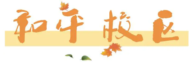 如何通过团队协作策略提升整体篮球水平_2
