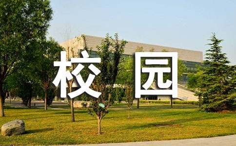 篮球训练计划表控球怎么写_0